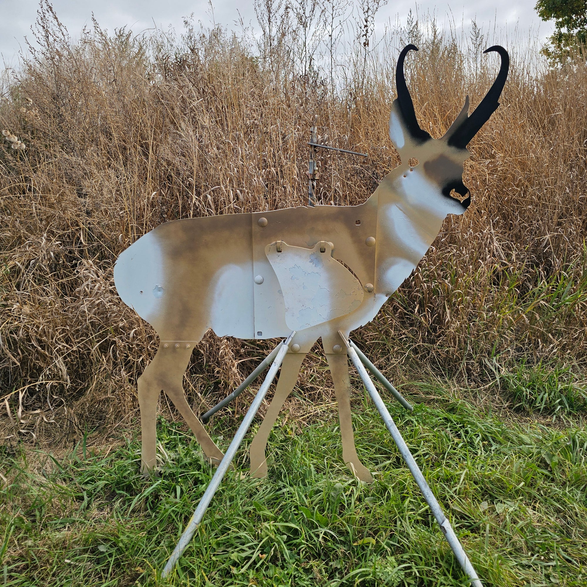 pronghorn target painted to look lifelike