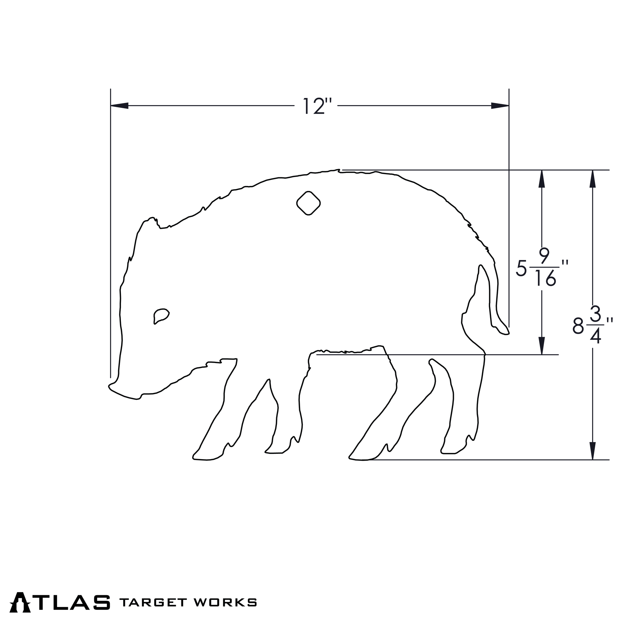 feral hog piglet dimensions